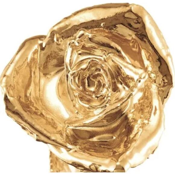 Living Gold 12" Diana Rose Dipped in 24K Gold with Gold Boxed $135 - Picture 3 of 3